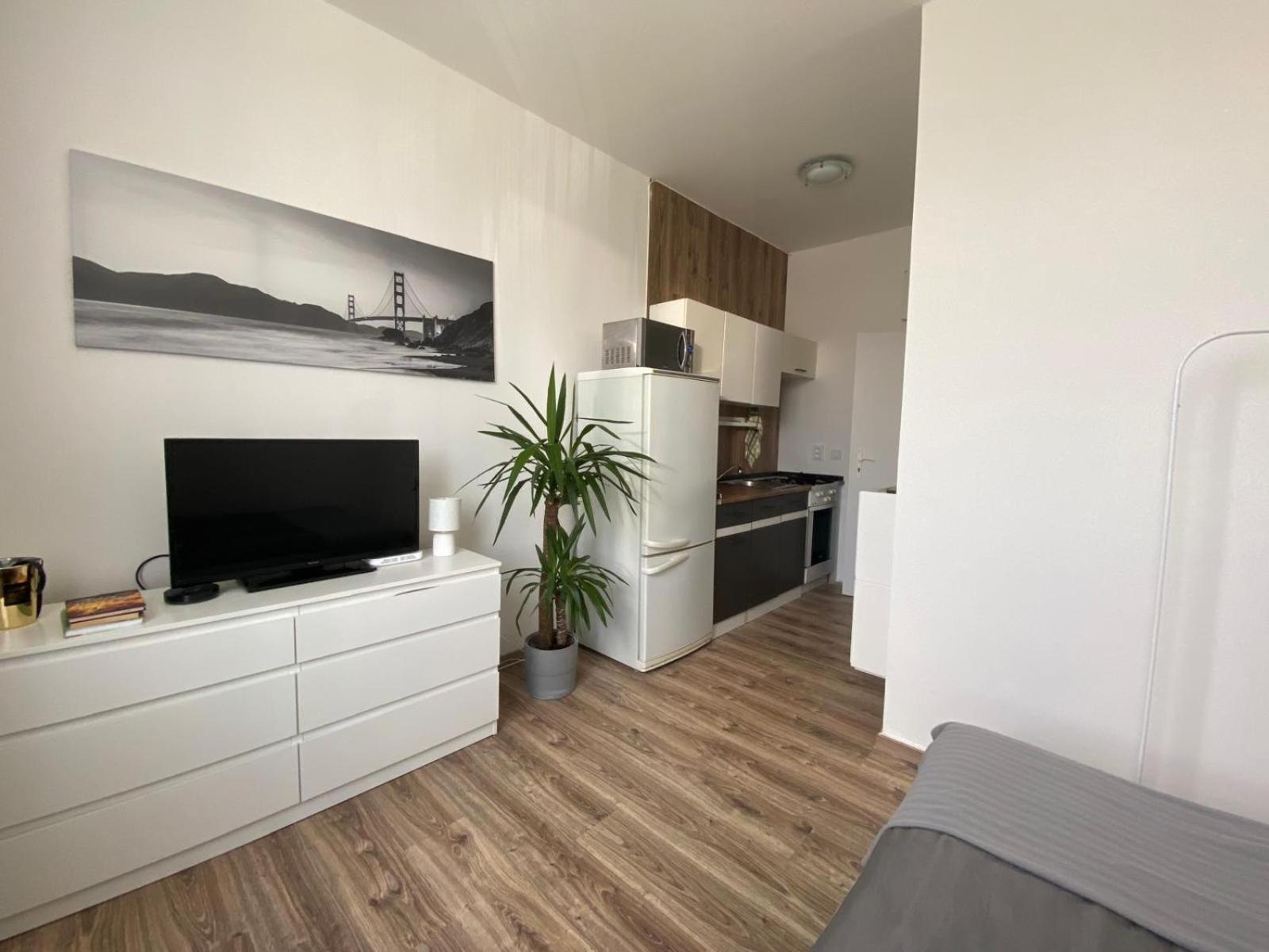 Rovao Apartment, 1-2 Guests, Free Parking & Wifi, 30Min From Downtown Rovinka Eksteriør billede