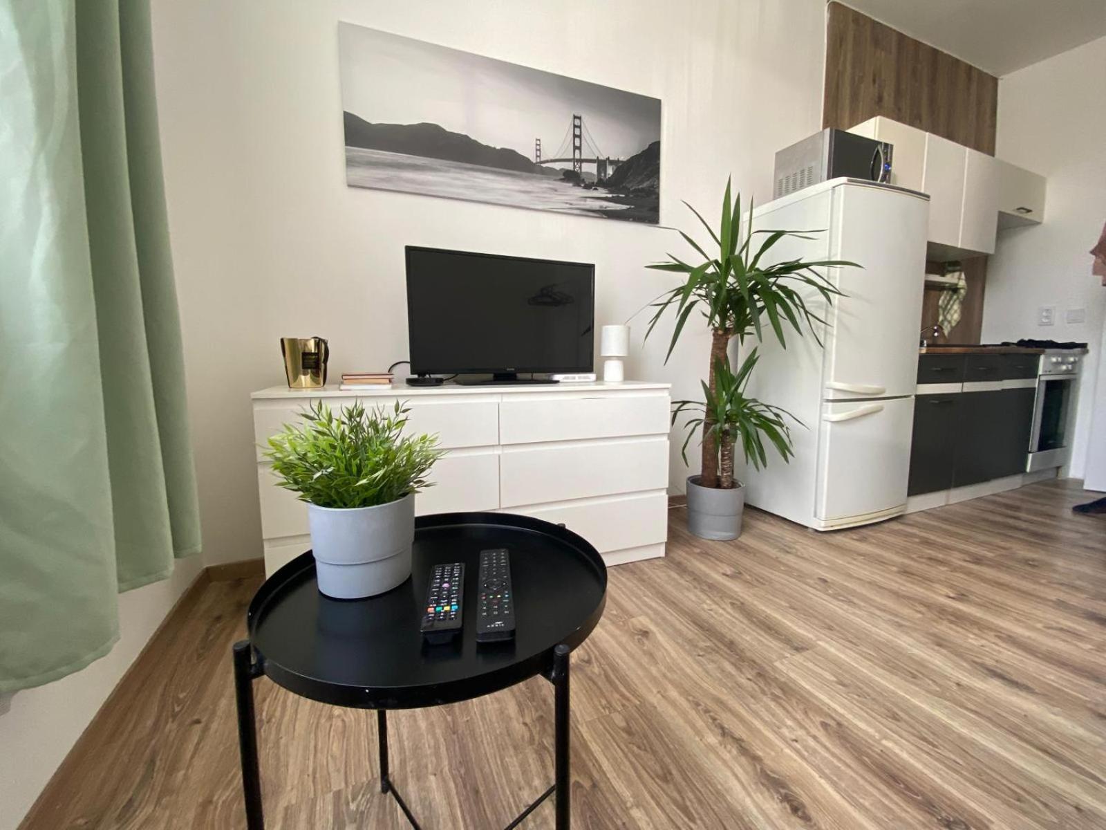 Rovao Apartment, 1-2 Guests, Free Parking & Wifi, 30Min From Downtown Rovinka Eksteriør billede