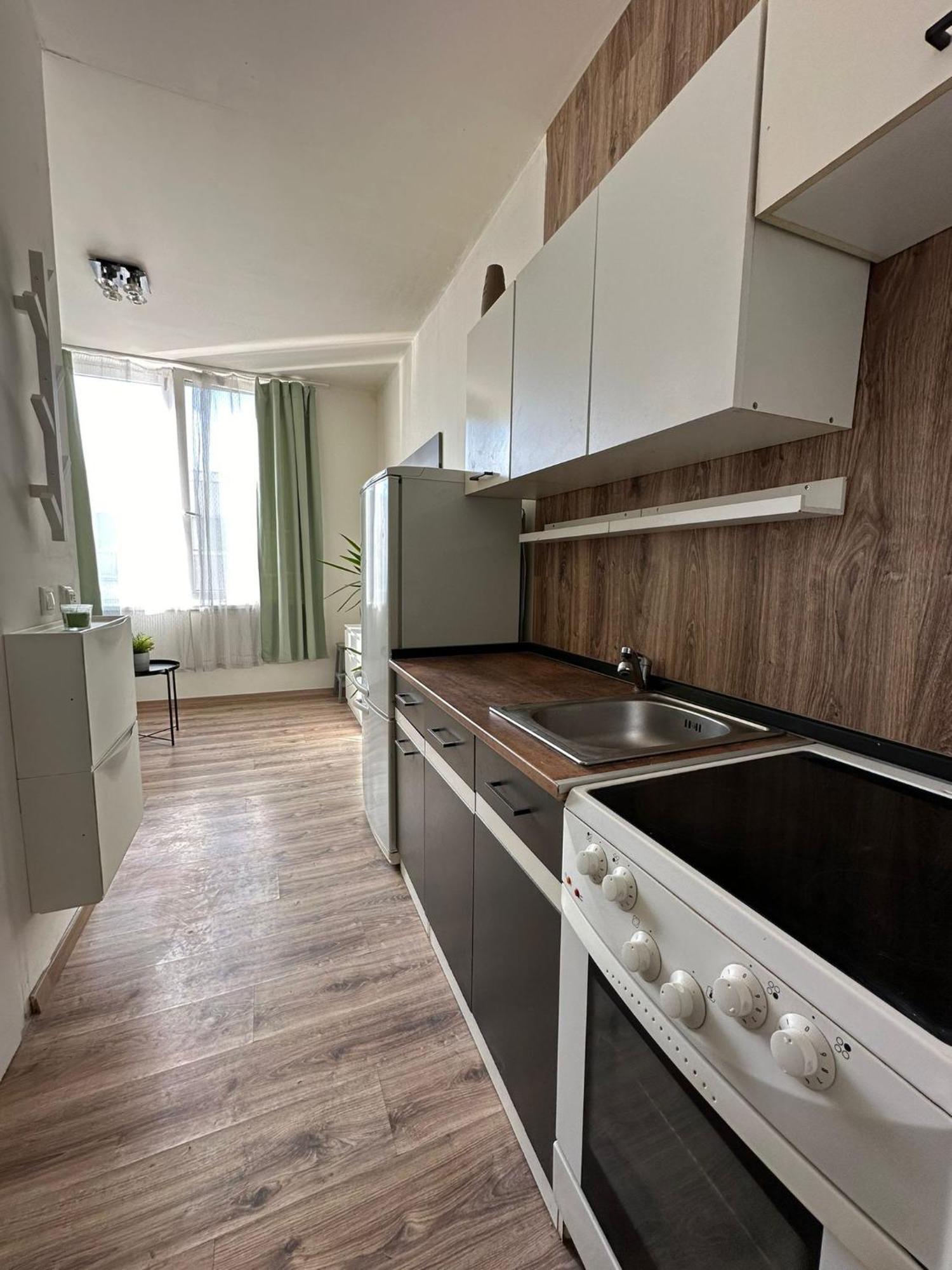 Rovao Apartment, 1-2 Guests, Free Parking & Wifi, 30Min From Downtown Rovinka Eksteriør billede