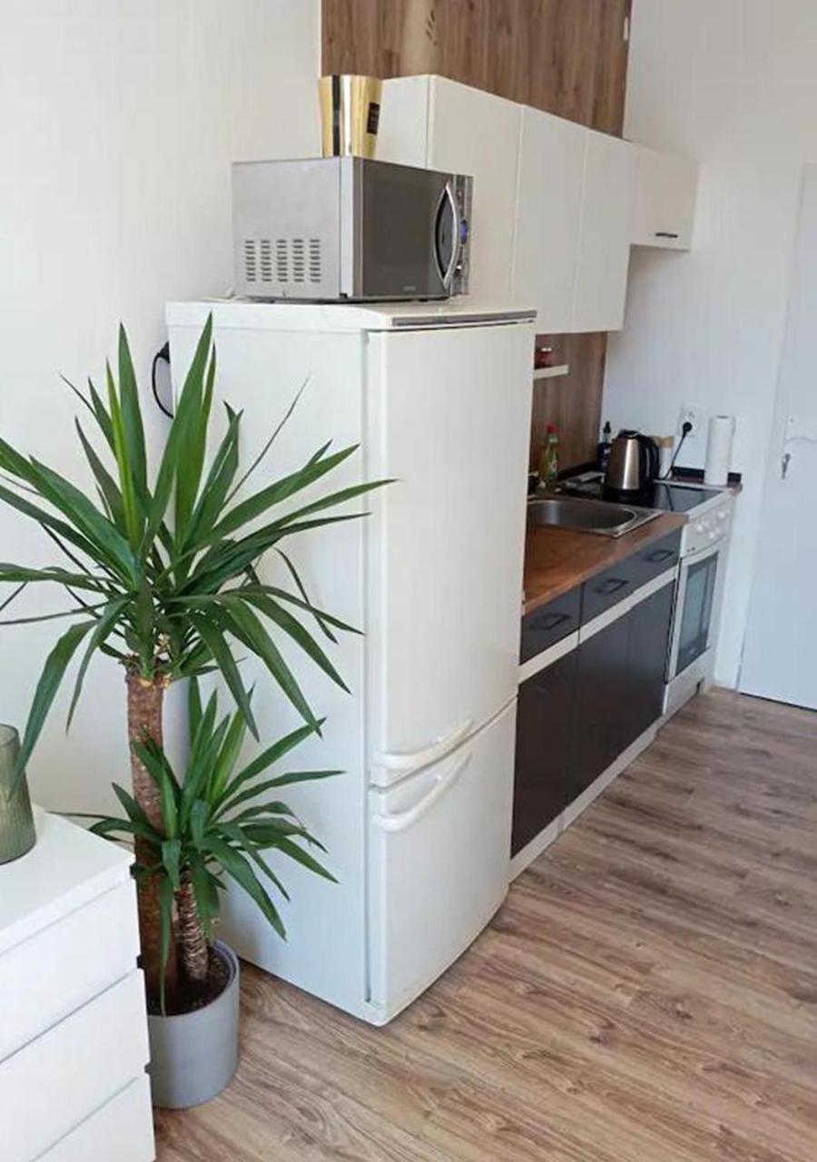 Rovao Apartment, 1-2 Guests, Free Parking & Wifi, 30Min From Downtown Rovinka Eksteriør billede